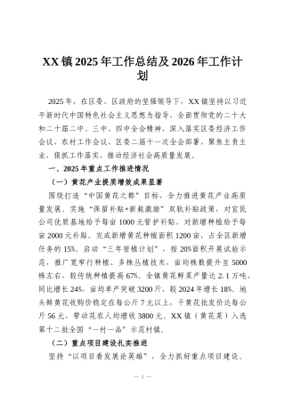 XX镇2025年工作总结及2026年工作计划