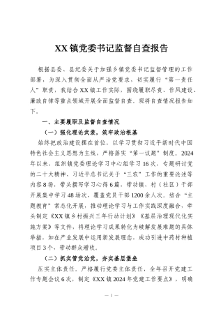 XX镇党委书记监督自查报告