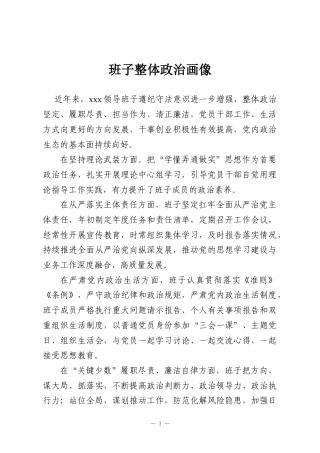 班子整体政治画像