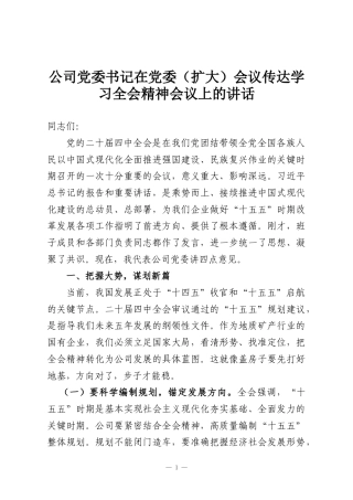 公司党委书记在党委（扩大）会议传达学习全会精神会议上的讲话