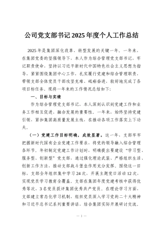 公司党支部书记2025年度个人工作总结
