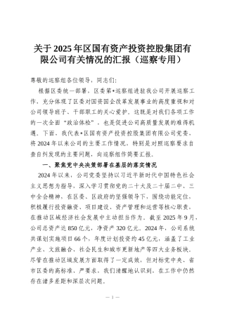 关于2025年区国有资产投资控股集团有限公司有关情况的汇报（巡察专用）