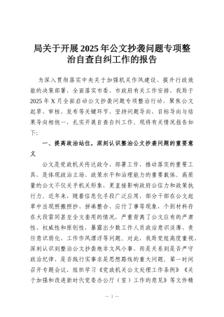 局关于开展2025年公文抄袭问题专项整治自查自纠工作的报告