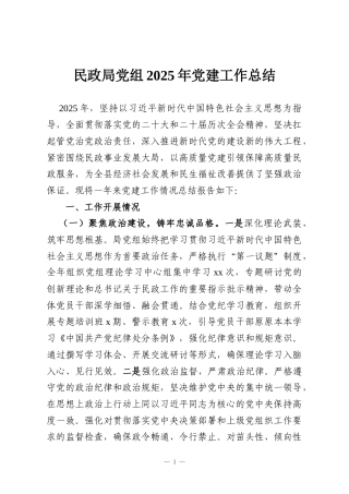 民政局党组2025年党建工作总结