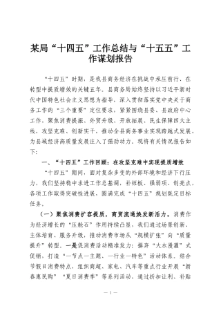 某局“十四五”工作总结与“十五五”工作谋划报告