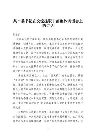 某市委书记在交流挂职干部集体谈话会上的讲话