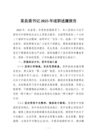 某县委书记2025年述职述廉报告