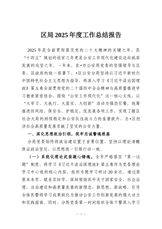 区局2025年度工作总结报告