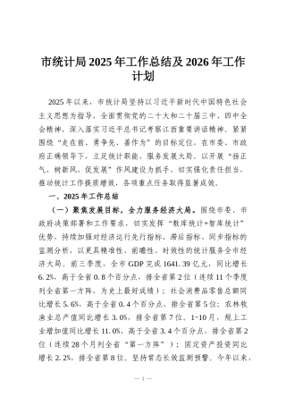 市统计局2025年工作总结及2026年工作计划