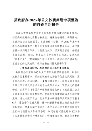 县政府办2025年公文抄袭问题专项整治的自查自纠报告