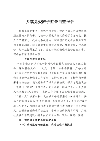 乡镇党委班子监督自查报告