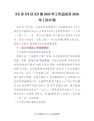 XX市XX区XX镇2025年工作总结及2026年工作计划