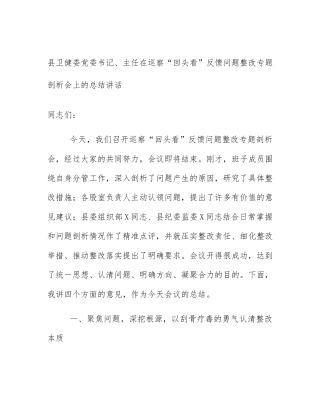 县卫健委党委书记、主任在巡察“回头看”反馈问题整改专题剖析会上的总结讲话
