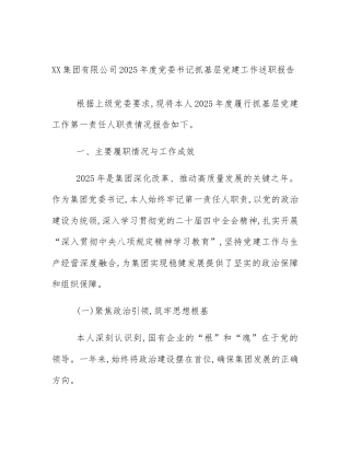 XX集团有限公司2025年度党委书记抓基层党建工作述职报告