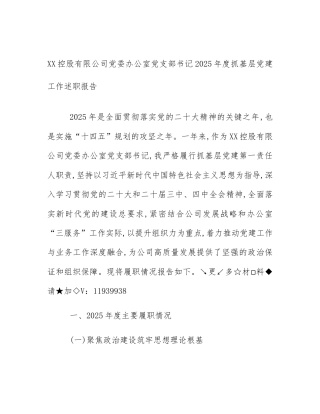 XX控股有限公司党委办公室党支部书记2025年度抓基层党建工作述职报告