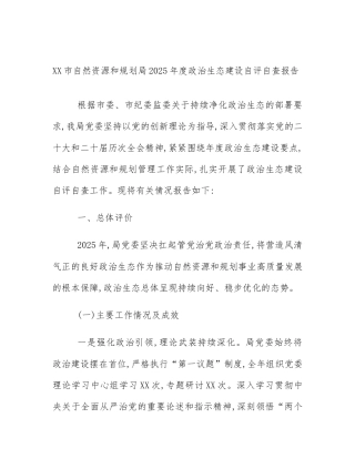 XX市自然资源和规划局2025年度政治生态建设自评自查报告