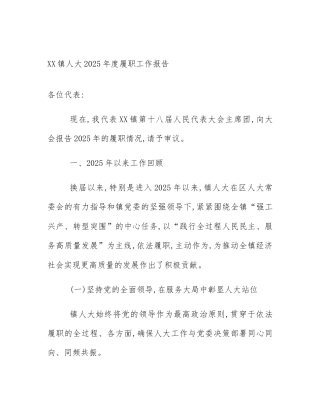 XX镇人大2025年度履职工作报告