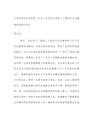 公司党委书记在党委（扩大）会议学习党的二十届四中全会精神时的研讨发言