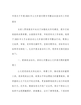 市局关于开展2025年公文抄袭问题专项整治自查自纠工作的报告