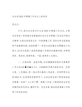 在全县2025年禁毒工作会议上的讲话