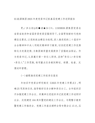 XX能源集团2025年度党委书记抓基层党建工作述职报告