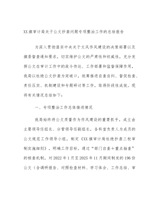 XX旗审计局关于公文抄袭问题专项整治工作的总结报告