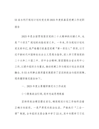 XX省水利厅规划计划处党支部2025年度抓基层党建工作述职报告