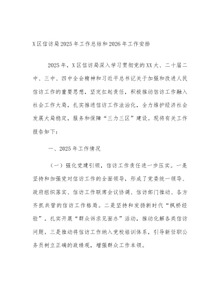 X区信访局2025年工作总结和2026年工作安排