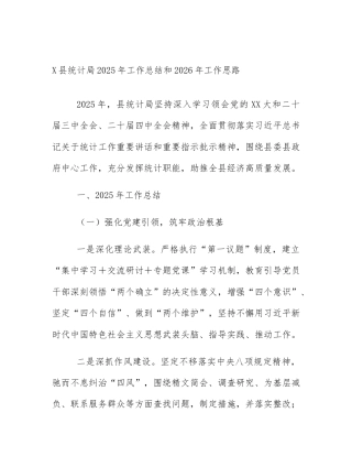 X县统计局2025年工作总结和2026年工作思路