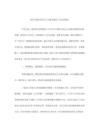 2025年整治形式主义为基层减负工作总结报告