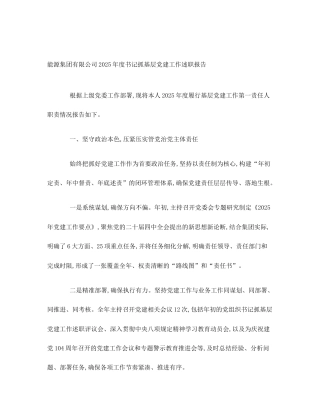 能源集团有限公司2025年度书记抓基层党建工作述职报告