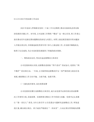 XX公司2025年度巡察工作总结