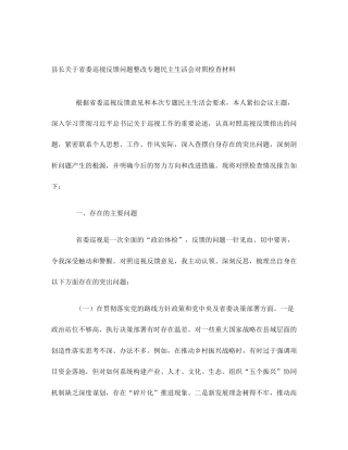 县长关于省委巡视反馈问题整改专题民主生活会对照检查材料