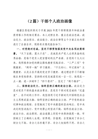 （2篇）干部个人政治画像