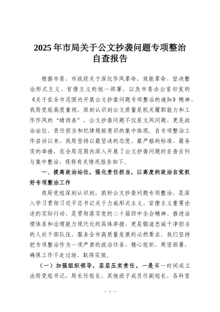 2025年市局关于公文抄袭问题专项整治自查报告