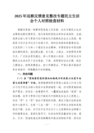 2025年巡察反馈意见整改专题民主生活会个人对照检查材料