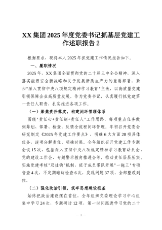 XX集团2025年度党委书记抓基层党建工作述职报告2