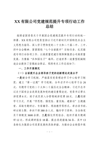XX有限公司党建规范提升专项行动工作总结