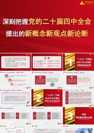 党课：深刻把握党的二十届四中全会提出的新概念新观点新论断