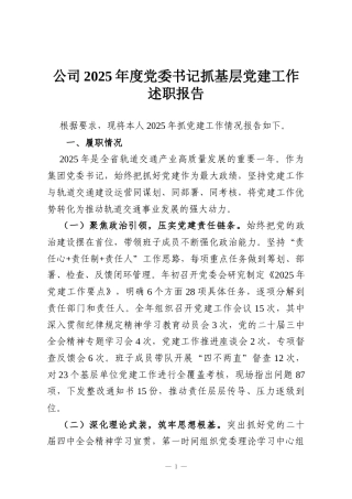 公司2025年度党委书记抓基层党建工作述职报告