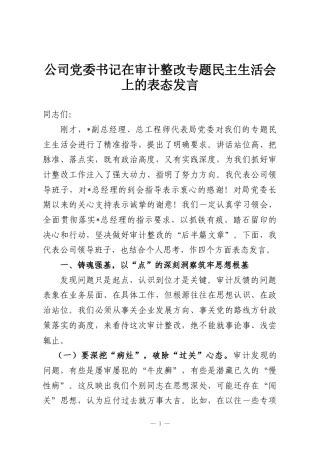 公司党委书记在审计整改专题民主生活会上的表态发言