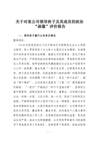 关于对某公司领导班子及其成员的政治“画像”评价报告
