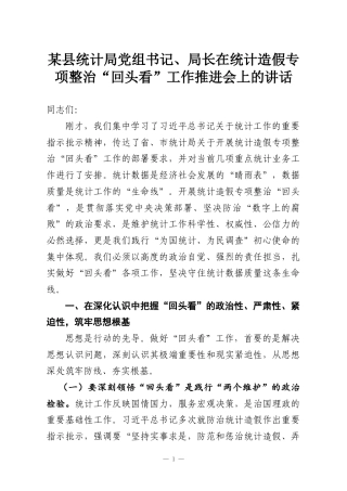 某县统计局党组书记、局长在统计造假专项整治“回头看”工作推进会上的讲话