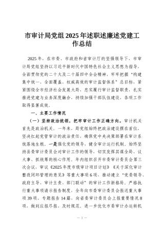 市审计局党组2025年述职述廉述党建工作总结
