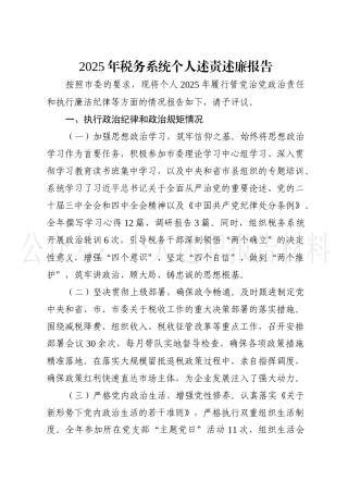 2025年税务系统个人述责述廉报告