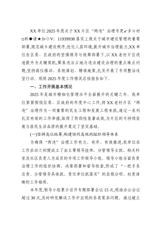 XX单位2025年度关于XX片区“两违”治理专项工作总结报告