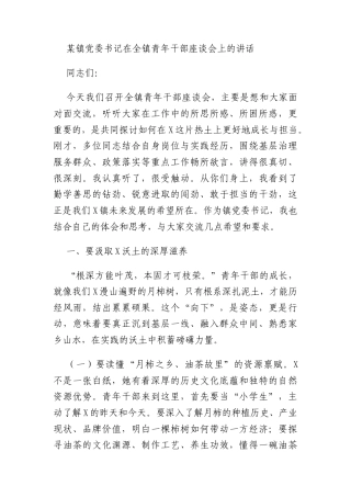 某镇党委书记在全镇青年干部座谈会上的讲话