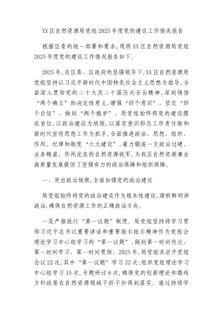 XX区自然资源局党组2025年度党的建设工作情况报告