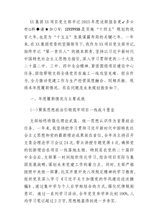 XX集团XX项目党支部书记2025年度述职报告