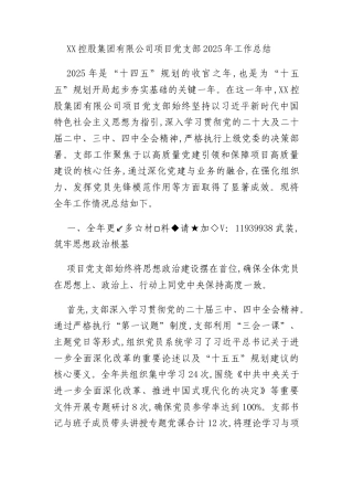 XX控股集团有限公司项目党支部2025年工作总结